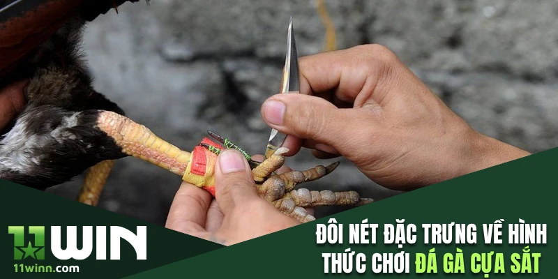Điểm đặc trưng về hình thức chơi đá gà cựa sắt