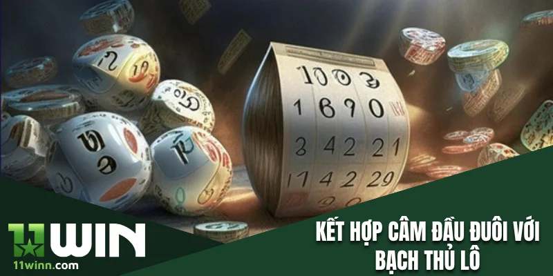 Kết hợp câm đầu đuôi với bạch thủ lô để tăng khả năng thắng