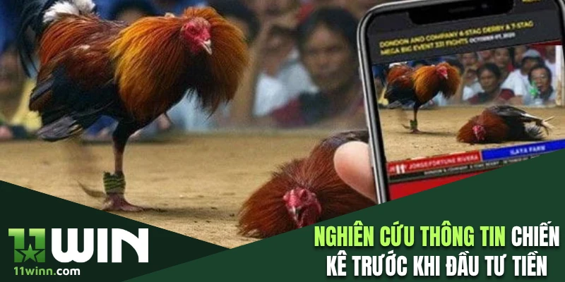 Nghiên cứu thông tin chiến kê trước khi đầu tư tiền