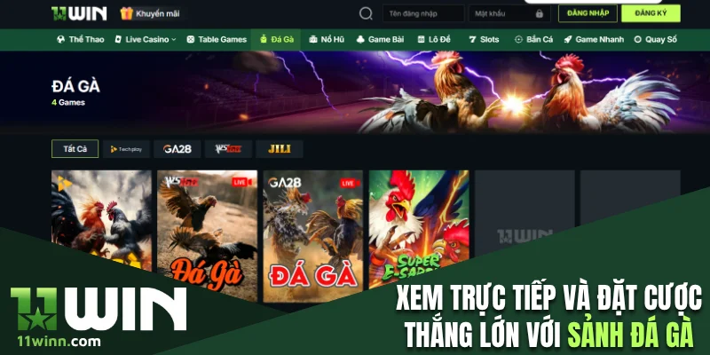 Xem trực tiếp và đặt cược thắng lớn với sảnh đá gà